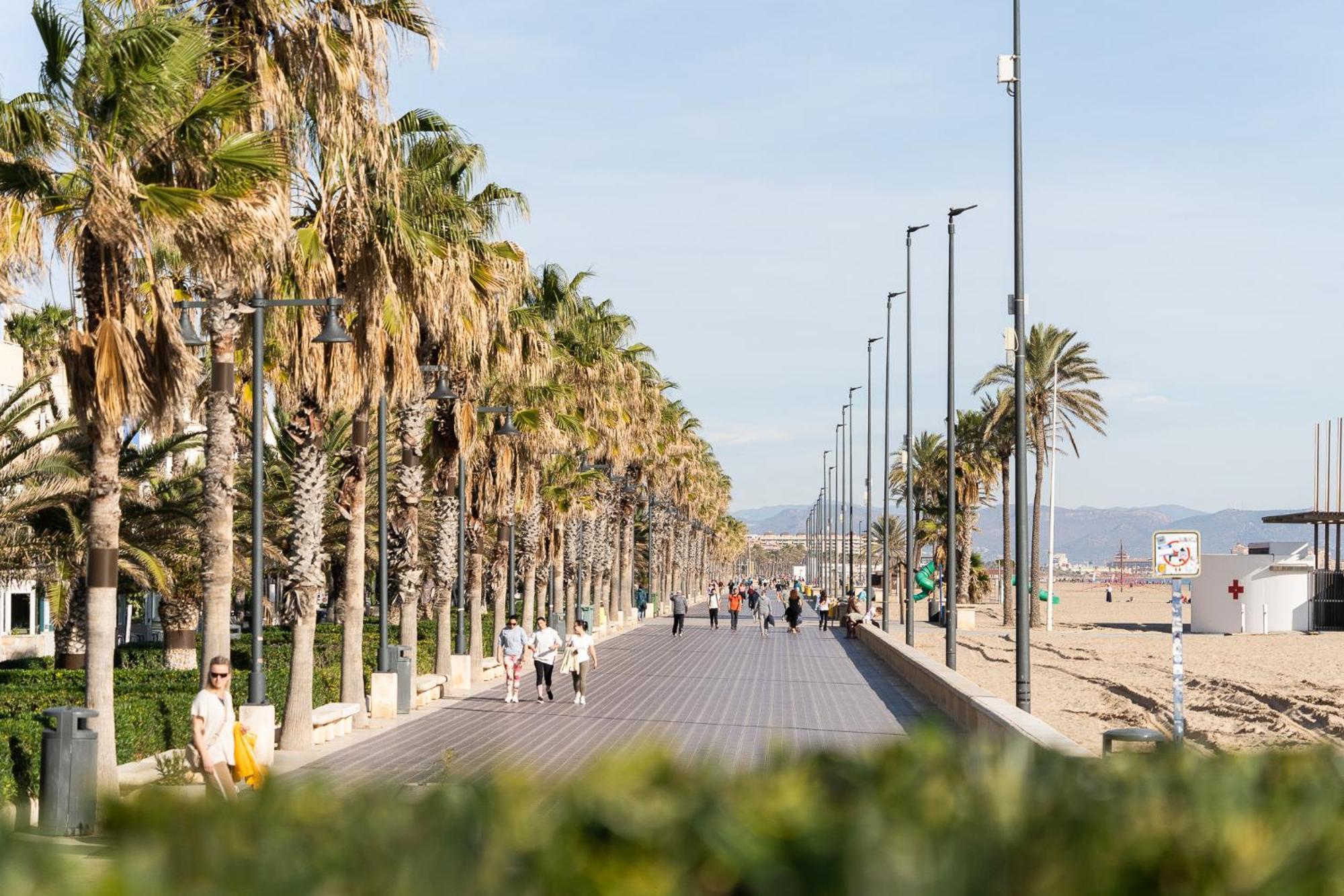 Alojamiento Junto Al Oceanografic Valencia Ngoại thất bức ảnh